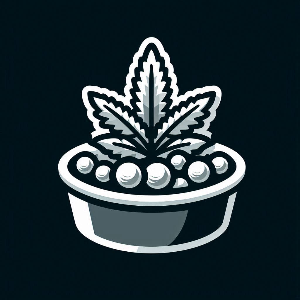 Autoflower Cannabis Seeds