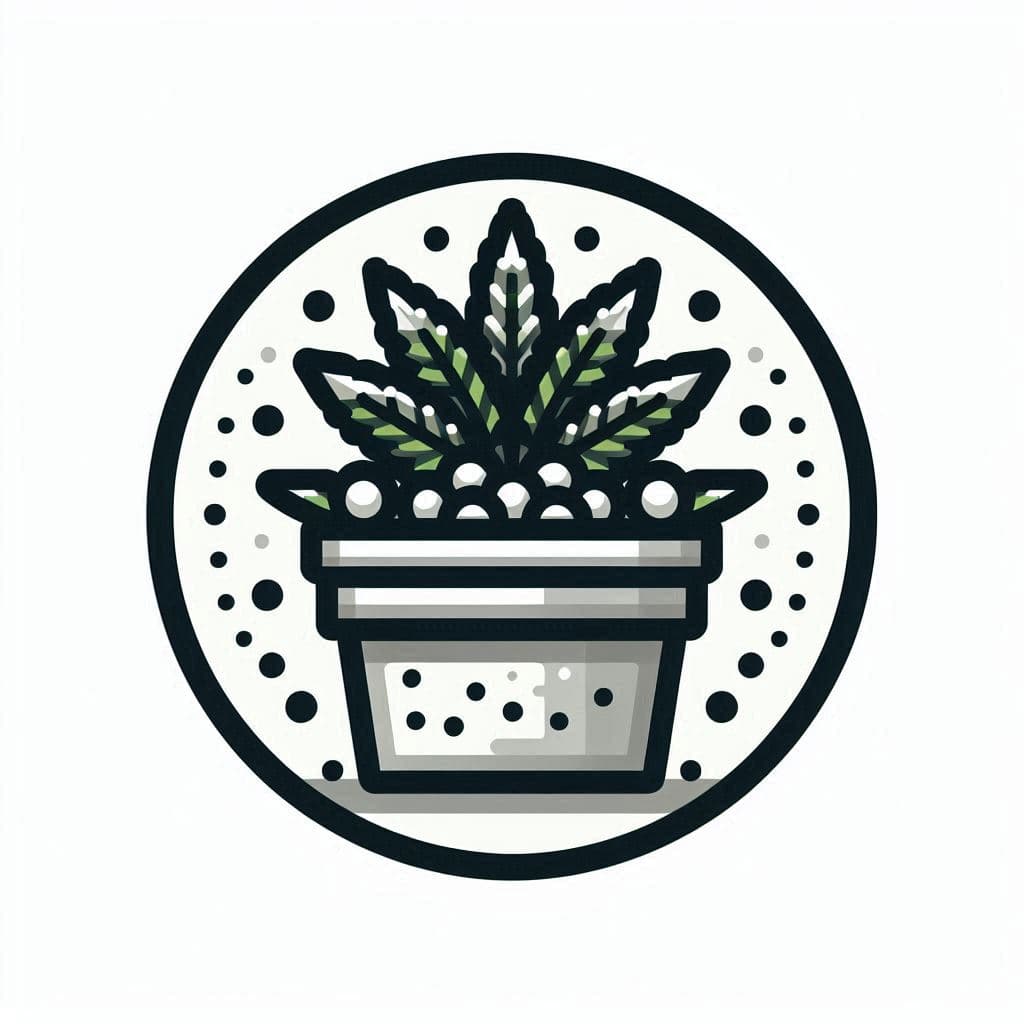 Grow Cannabis Seeds in North Carolina